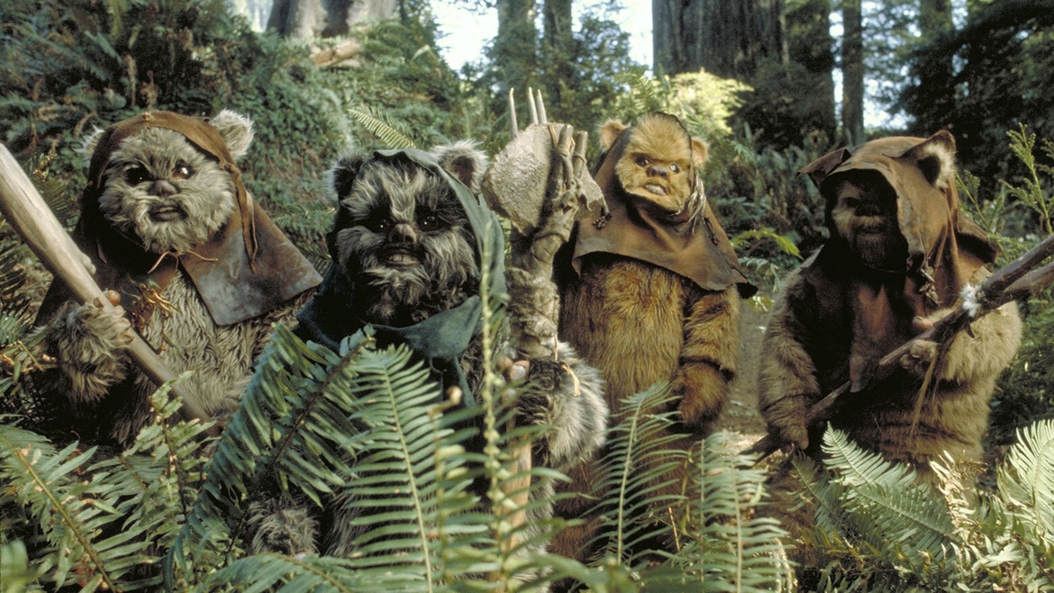 More ewoks