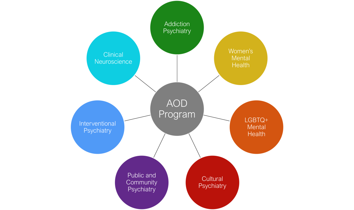 The seven Areas of Distinction offered by the residency training program are: Addiction Psychiatry, Clinical Neurosciences, Cultural Psychiatry, Interventional Psychiatry, LGBTQ+ Mental Health, Public and Community Psychiatry, and Women’s Mental Health