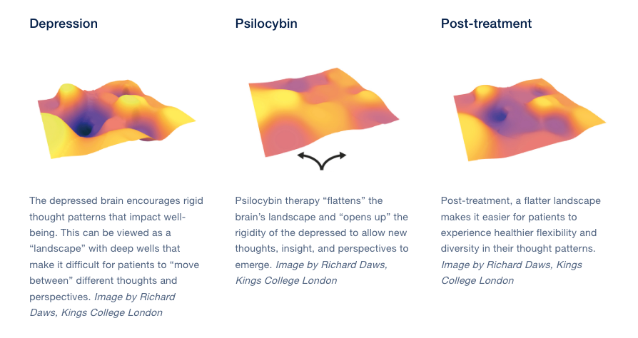 Infographic