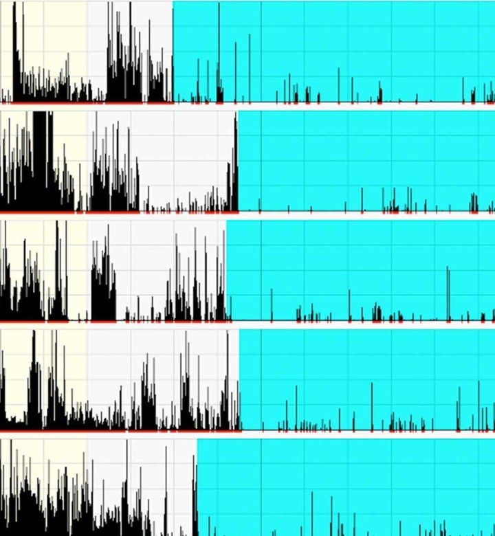 actogram-two-column.jpg