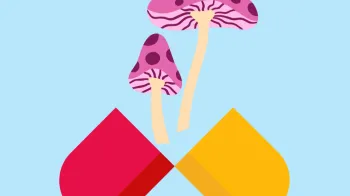 Illustration of a purple mushroom emerging from a pill capsule