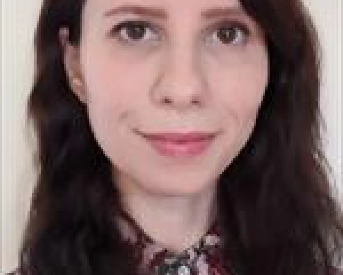 Christina Dintica, PhD