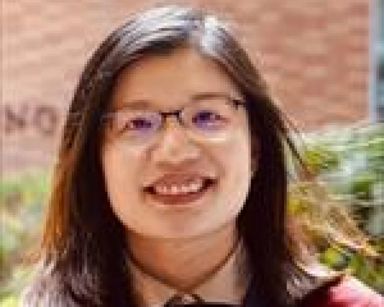 Dillys Liu, PhD