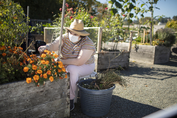 Sarah working in a garden while seated.