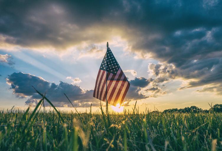 Flag in a field