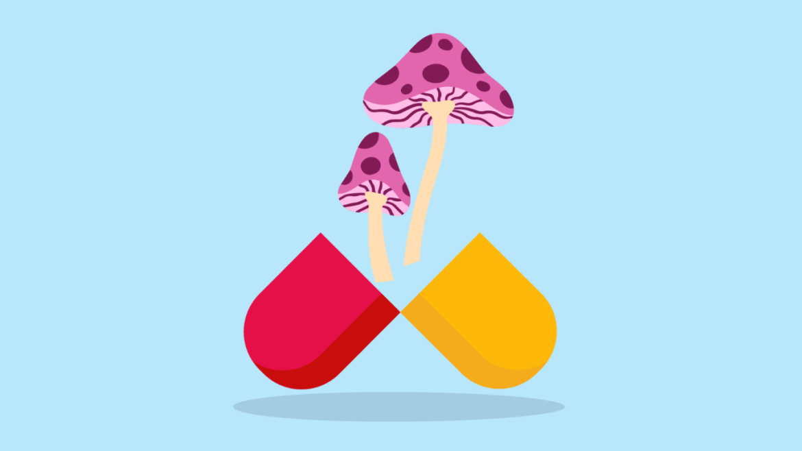 Illustration of a purple mushroom emerging from a pill capsule