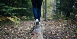 Person walking across a log in the forest