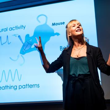 Klein presenting